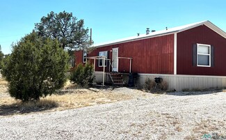 8 Raccoon Cir, Carlsbad, NM 88220
