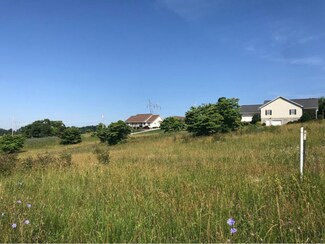 108 Briarpatch Ct, Fall Branch, TN 37656