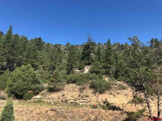 0 County Road 141 Unit 747743, Durango, CO 81303