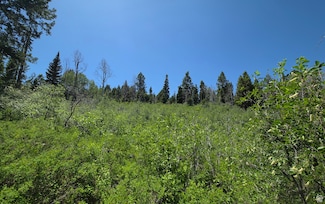 22596 S Snowbird Dr E Unit C31, Spanish Fork, UT 84660