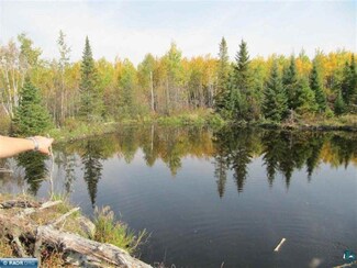 XXX Wilderness Way Rd, Orr, MN 55771