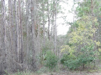 0 No St Unit MFRV4940732, Deland, FL 32724