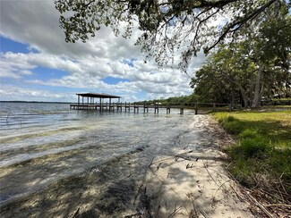 TBD NE 130th St, Salt Springs, FL 32134