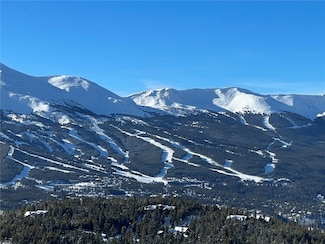 316 N Fuller Placer Rd, Breckenridge, CO 80424