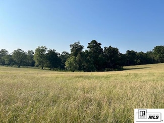 0 Foster Rd, Downsville, LA 71234