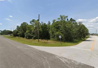 Lot 1 Locust Pass Course, Silver Springs Shores, FL 34472