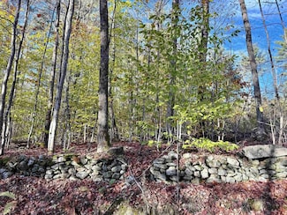 0 Townshend Dam Rd Unit 5066172, Wardsboro, VT 05355