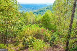 0 Summit Trail Unit 10390407, Hiawassee, GA 30546