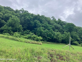 1381 Carlisle Rd, Carrollton, KY 41008