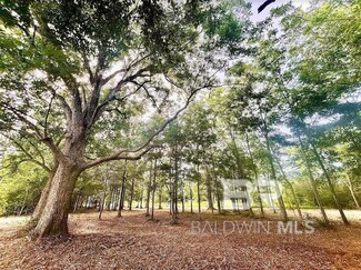 0 Newman Rd Unit 363121, Mobile, AL 36695