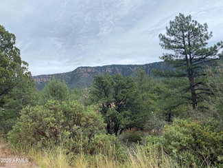 186 N Trails End Dr Unit 186, Pine, AZ 85544