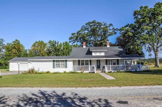 8810 Lake Swamp Rd Unit Tract A, B, and C, Nichols, SC 29581