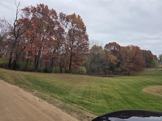 tbd Cohoctah Rd, Deerfield Township, MI 48430