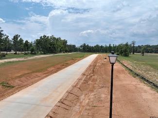 11089 Back Forty, Whitehouse, TX 75791