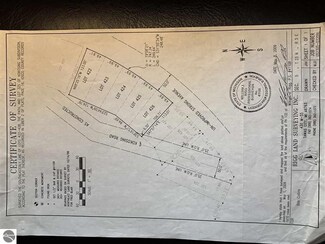 O Kokosing Rd, Hale, MI 48739