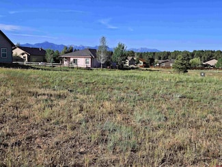 23 Fireside St, Pagosa Springs, CO 81147