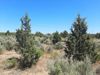 0 SE Snake Rd Unit 220204307, Prineville, OR 97754