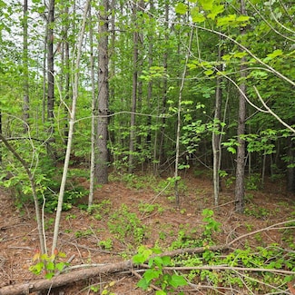 Lot 14 Holly Woods, Robbins, TN 38562