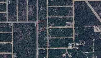 0 S Francis St, Interlachen, FL 32148