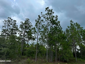 0000 Tippet Dr, Chipley, FL 32428