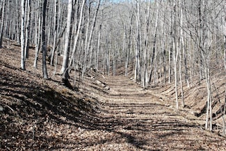 0 High Valley Dr, Monterey, VA 24465