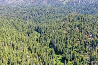 0 Forest Service Rd Unit NWM2322240, Leavenworth, WA 98826