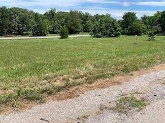 Lots 171 & 172 Arrow Point, Golden, MO 65658