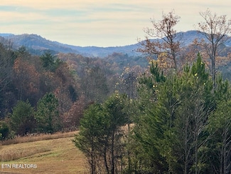 Tract 1 Three Point Rd, Vonore, TN 37885