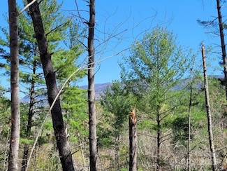 167 Fox Ridge Trail, Marion, NC 28752