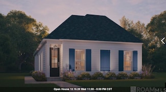 10638 Deric Ave, Denham Springs, LA 70726