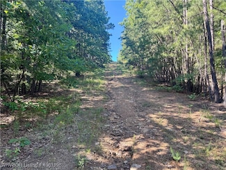 01 Hamilton Hill Rd, Booneville, AR 72927