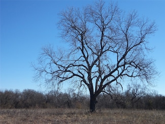 590 Pr 370 Rd, Hubbard, TX 76648