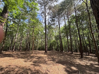 29 & 30-21-9 Windmill Rd, Huntsville, TX 77340