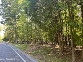 L59 Pilot Knob Rd, Kattskill Bay, NY 12844