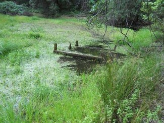 24335 Oat Hill Rd, Middletown, CA 95461