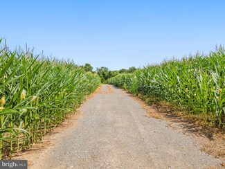 0 Old Mill Rd Unit VAFQ2016006, Midland, VA 22728