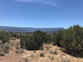 15086 45 1/2 Rd, Mesa, CO 81643
