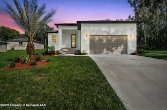 300 N Lemon Ave, Brooksville, FL 34601