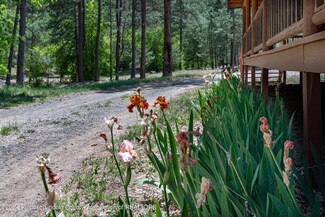 271 Ski Run Rd, Alto, NM 88312