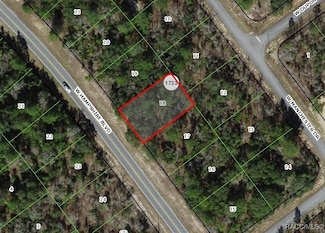 1433 W Hampshire Blvd, Citrus Springs, FL 34434