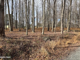 Lot 4 Hazelton Dr, Greene Township, PA 18426