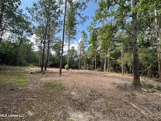 17141 Hillcrest Ridge Dr, Vancleave, MS 39565