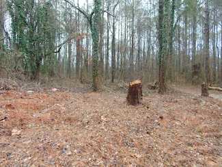 0 Carters Gin Rd Unit 520630, Toney, AL 35773