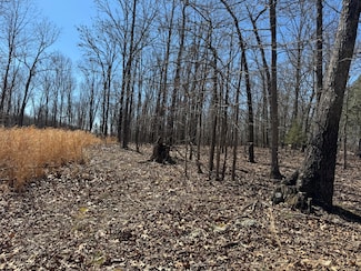 Tbd County Road 486, Birch Tree, MO 65438