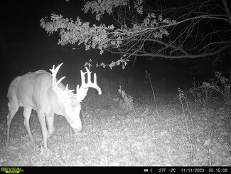 0 Missouri 6, Humphreys, MO 64646