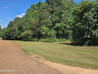 100 Luke Ln, Coldwater, MS 38618