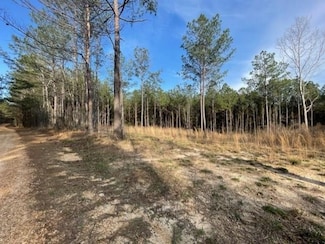 371 Low Water Ln SW, Brookhaven, MS 39601