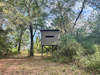 1786 Shady Lane Rd, Pickens, MS 39146