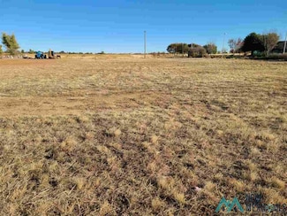 2932 E 7th St, Clovis, NM 88101