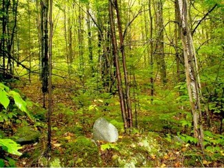 17 Pond Hill Rd, Lunenburg, VT 05906